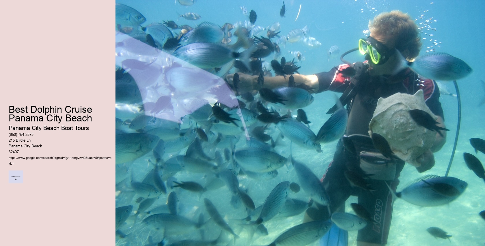 Best Dolphin Cruise Panama City Beach