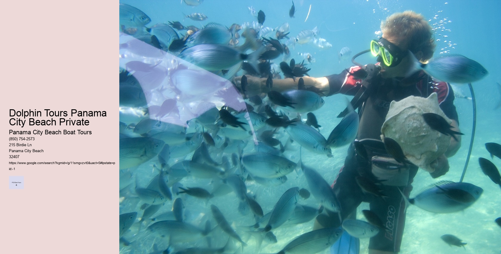 Dolphin Tours Panama City Beach Private